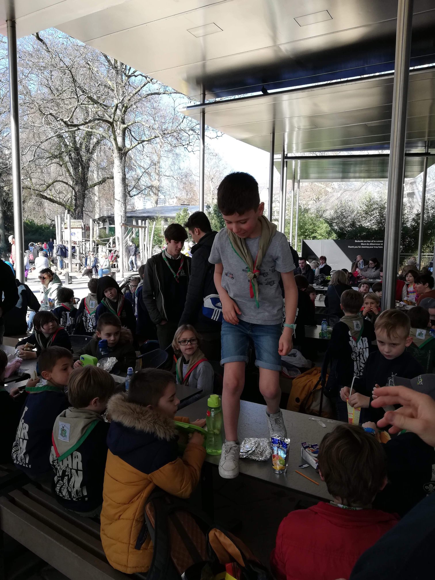 Sint-Martinus den XIIde - Zoo Antwerpen Kapoenen